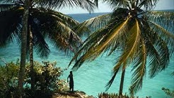 Anthony B. Sizzla - determine concious mix