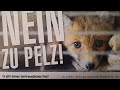 Pelz gehört den Tieren | Акция в Вене против меховых фабрик