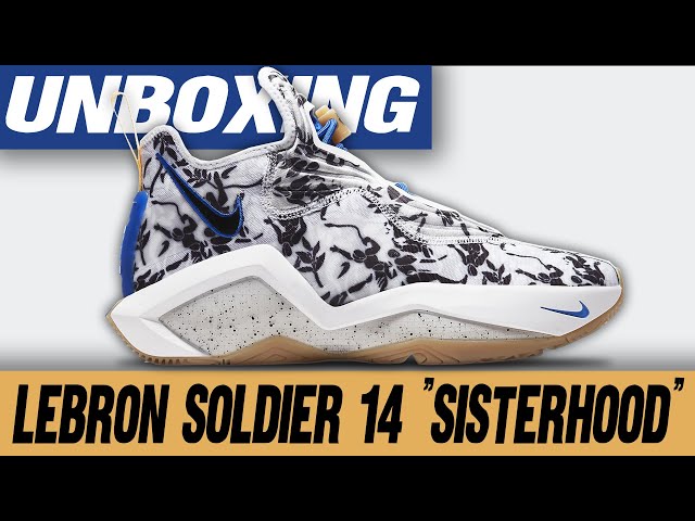 nike lebron soldier 14 sisterhood