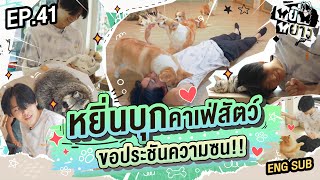 หยิ่นหยาง EP.41 | หยิ่นบุกคาเฟ่สัตว์ ขอประชันความซน!!