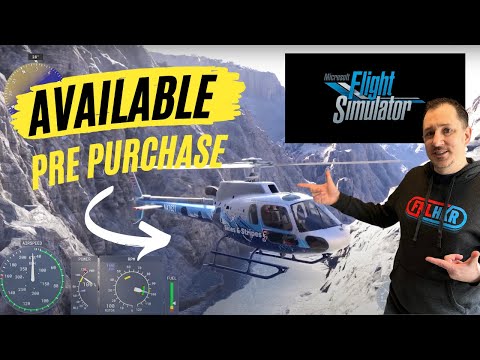Flight Sim 2024