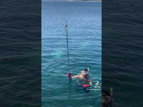 اول تجربه صيد بالبول سبير        