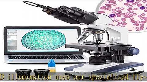 AmScope - 40X-2500X LED Digital Binocular Compound Microscope with 3D Stage + 0.3 MP USB Camera