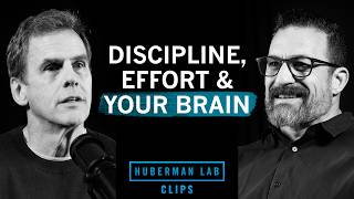 How Discipline & Effort Improve Your Brain | Dr. Read Montague & Dr. Andrew Huberman