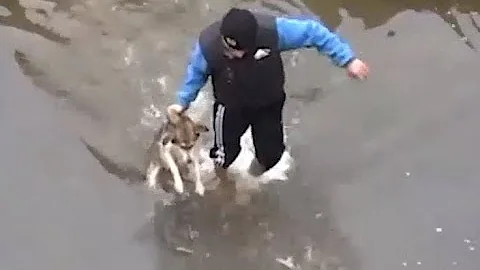 Drowning puppy shows pure joy after rescue - DayDayNews