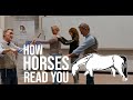 The Science Of Feel Chris Irwin On Veterinary Horsemanship Utrecht University Lecture 