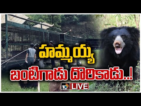 ?LIVE | శ్రీకాకుళం జిల్లాలో సక్సెస్‌ఫుల్‌గా ఆపరేషన్ బంటి..! | Bear Tension in Srikakulam & Kamareddy