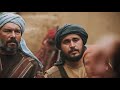 إنجيل متى13: 31 – 43