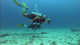 First Dive After Covid 19
