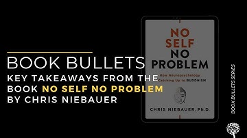 Book Summary: No Self No Problem by Chris Niebauer
