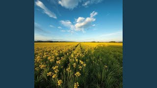 Download Lagu Zandam MP3