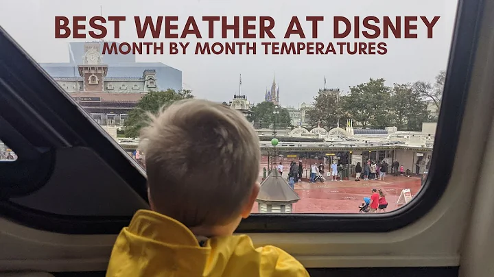 Disney Weather, When Is The Best Time Of The Year at Disney World - DayDayNews