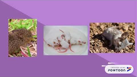 Part 1 natural vs artificial selection