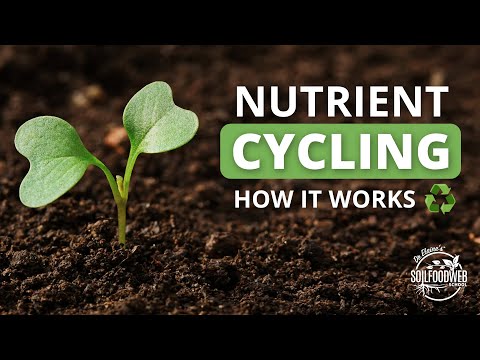 Video: Cycle Of Nutrients And Soil Texture