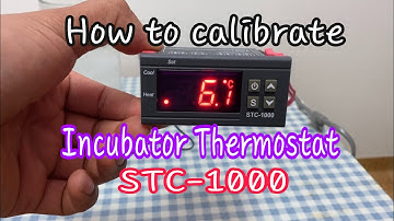How to calibrate and set a thermostat incubator/ STC 1000