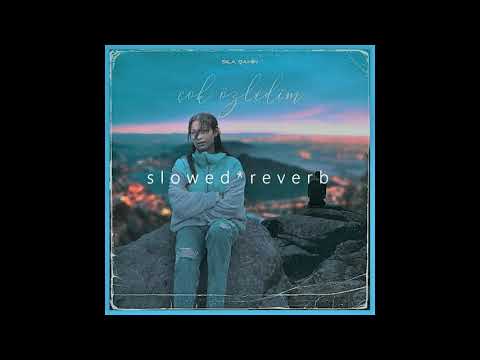 Sıla Şahin - Çok Özledim (s l o w e d * r e v e r b)