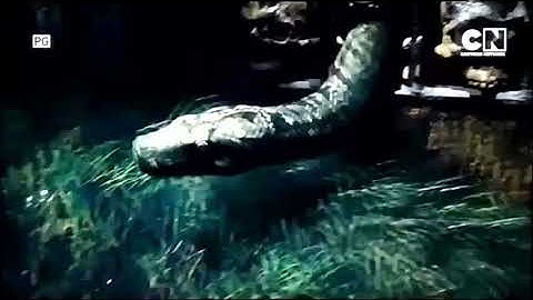 Harry Potter & the Goblet of Fire on Cartoon Network Asia (25th December 2021)