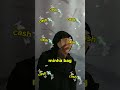 cash na bag 🎒🎒 #fypシ #trap #rap #trapbrasil #traprj #previadetrap