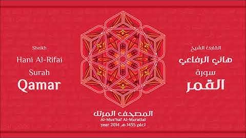 سورة القمر للقارئ الشيخ هاني الرفاعي