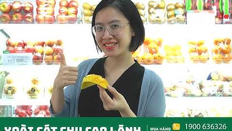 XOÀI CÁT CHU CAO LÃNH