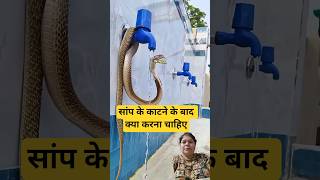 सांप कट जाए तो क्या करना चाहिए #snake #facts #animals #thepreventionexpert  #sciencefacts
