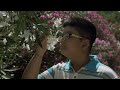 Middle of video