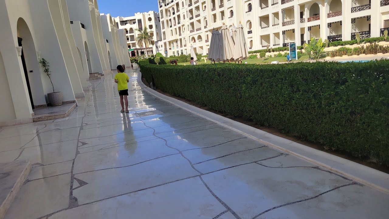 بلدي الثاني مصر التي في خاطري وفي دمي 