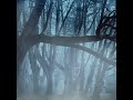 Ghost Soldier #caughtoncamara #horror #scary #creepyencounter #ghost #unexplained #poltergeist