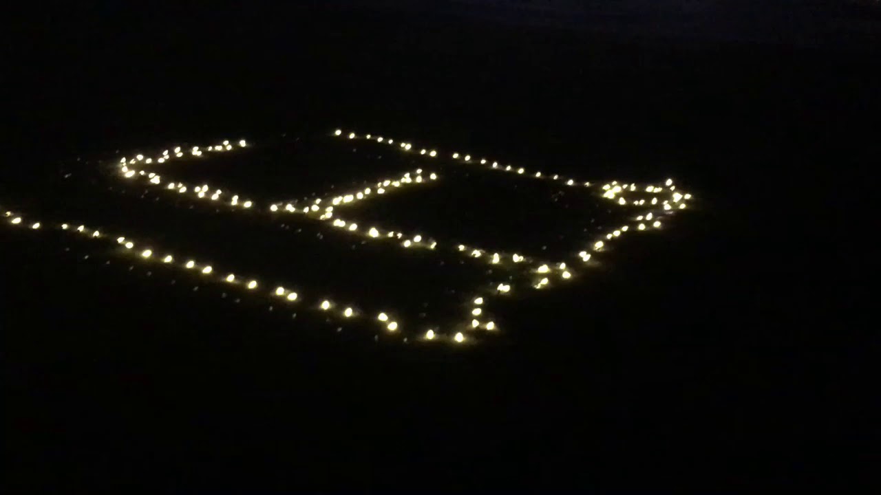 Starlight Flight - Marriage Proposal