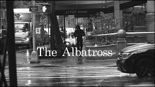 The Albatross - short film