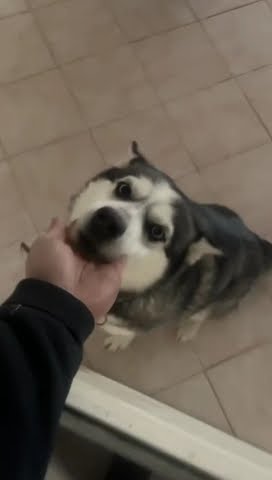 youtube.com
