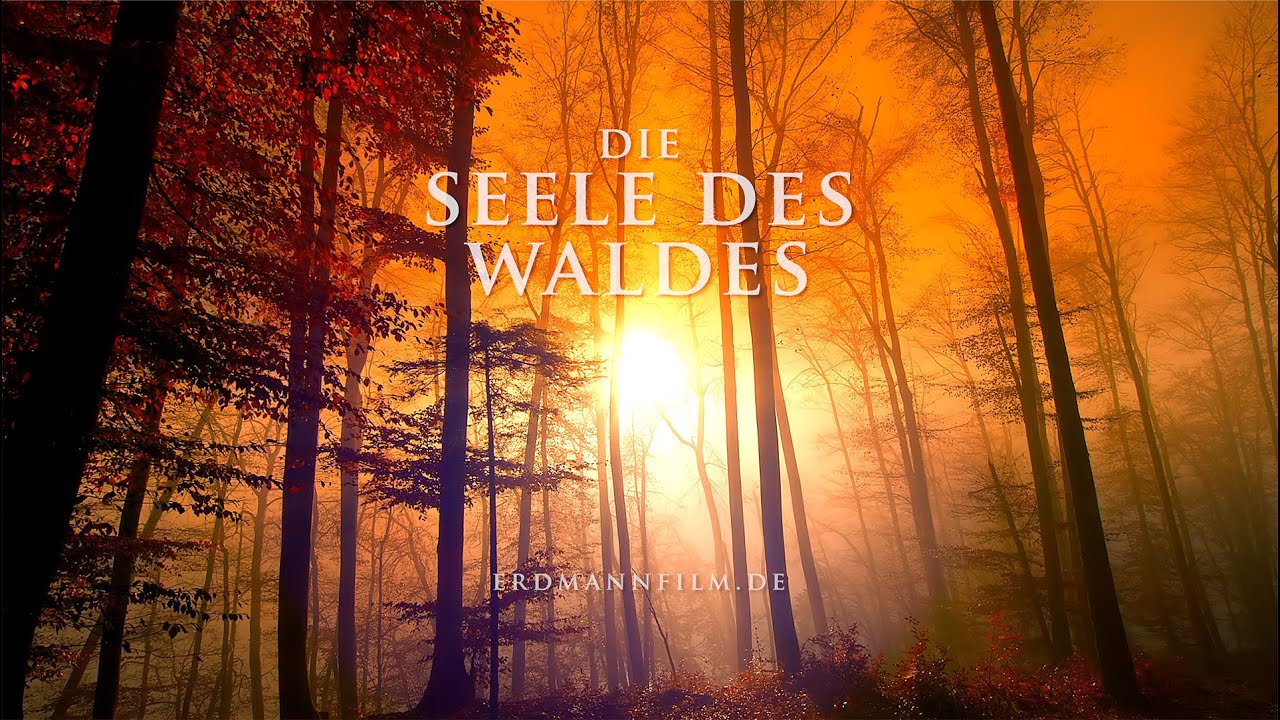 Die Seele des Waldes - Ein Film von Stefan Erdmann #01