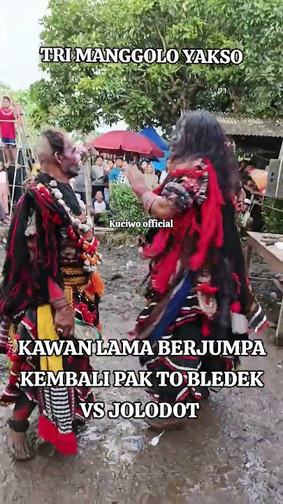#jaranan #banyuwangi #shorts #shortsviral #fypシ゚viral #kuciwoofficial #hiburan #jarananbuto #viral