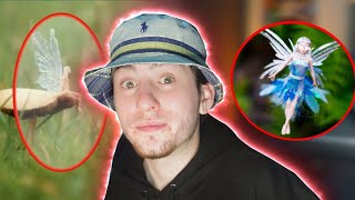 Des Scientifiques Ont Découvert Une Vrai Fée (Réellement) Resimi