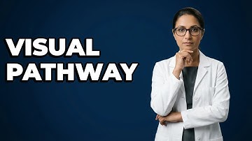 How Does Visual Input Reach The V1 Cortex?