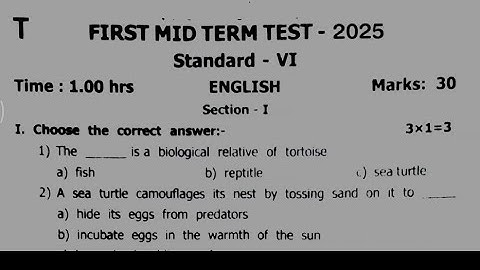 6th std English first midterm exam question paper 2025 | 6th std midterm exam 2025