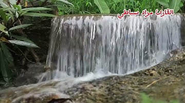 سورة الفرقان