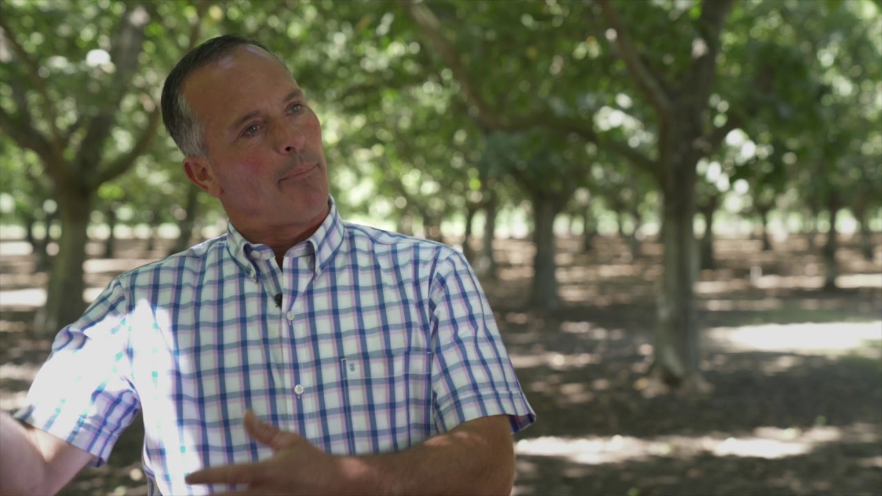 John Dondero, 4th Generation Walnut Grower for Primavera Walnuts