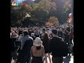 New York City Celebrates Biden Victory | NBC New York