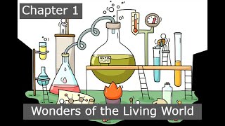 Science (English medium) - Grade 6 Chapter 1 (Part 3) -Wonders of the Living World -Exercises