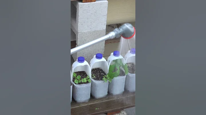 Upcycle Plastic Milk Bottles to Grow Fruit & Veg at Home & Reducing Waste #EarthDay #YouTubePartner