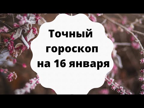 Гороскопы Ноябрь 2023