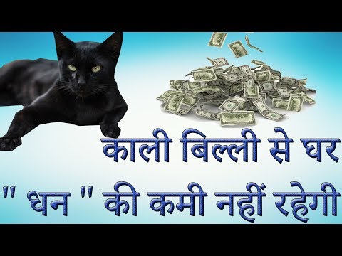 वीडियो: काली बिल्ली घर में क्यों आई?