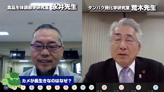 カメが長生きなのはなぜですか？