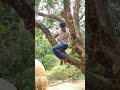 Cornelltreeclimbing sportclimbing nickscontractclimbing climbing tree