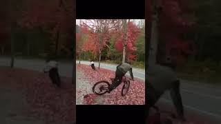 Drifting bikes in wet leaves