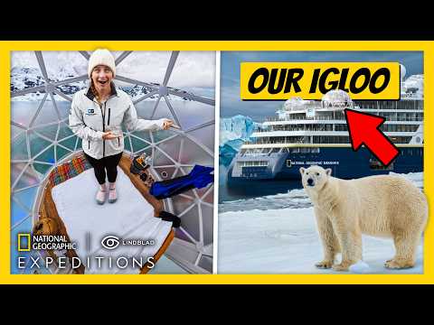 Inside National Geographic's $36,000 Greenland Cruise (Lindblad Expeditions)