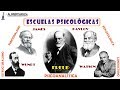 Escuelas Psicológicas (Estructuralismo, Funcionalismo... || RESUMEN