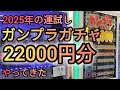 【ガンプラガチャ】22000円分ガンプラガチャをやってきました‼️