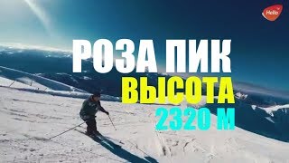 РОЗА ПИК высота 2320 м  Это Краснодар, детка! | Видео Краснодара